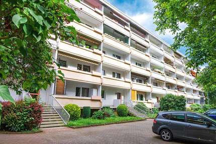 Wohnung zum Mieten in Zwickau 252,00 € 40 m²