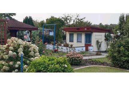 Kleingarten - 4.500,00&nbsp;EUR Kaltmiete, ca.&nbsp; 0,00&nbsp;m&sup2; in Neuburg (PLZ: 23974)