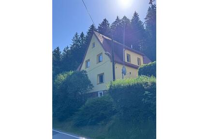Exklusives Wohnambiente im Grünen: Kernsaniertes Einfamilienhaus - Hartmannsdorf-Reichenau