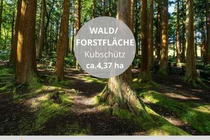 Grundstück zu verkaufen in Kubschütz 35.000,00 € 43740 m²