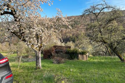 Garten im Geradstetten - 650,00&nbsp;EUR Kaltmiete, ca.&nbsp; 0,00&nbsp;m&sup2; in Esslingen am Neckar (PLZ: 73732) Hegensberg