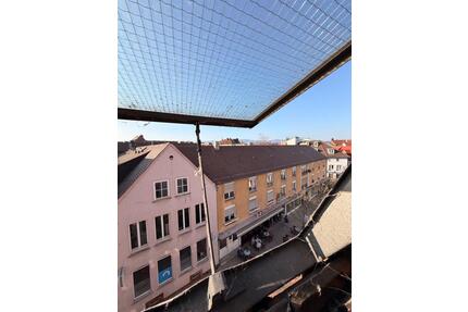 Zentral gelegenes Dachgeschoss Loft mit Blick über Landau - Landau in der Pfalz