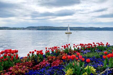 Kleine Ferienwohnung in ÜberlingenBodensee zu vermieten