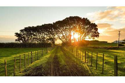 Grundstück zu verkaufen in Maulburg 209.000,00 € 600 m²