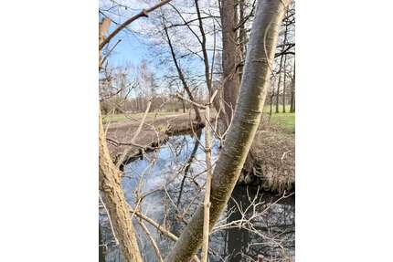 Haus zum Kaufen in Burg 399.000,00 € 123 m²