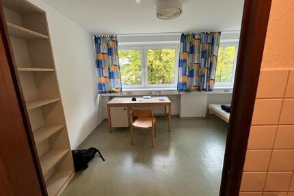 Möbliertes 1Zimmer-Apartment zur Zwischenmiete von 01.06 bis30.06 - Marburg Biegenviertel