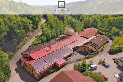 Halle in Wald-Michelbach 3.384,00 € 720 m²