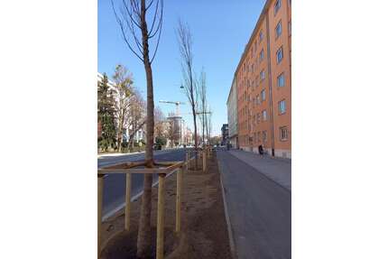 Wohnung zum Kaufen in München 766.500,00 € 70 m²