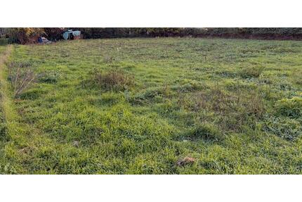 2 Wiesen a 299€ im Jahr - 299,00&nbsp;EUR Kaltmiete, ca.&nbsp; 0,00&nbsp;m&sup2; in Ludwigshafen am Rhein (PLZ: 67059)