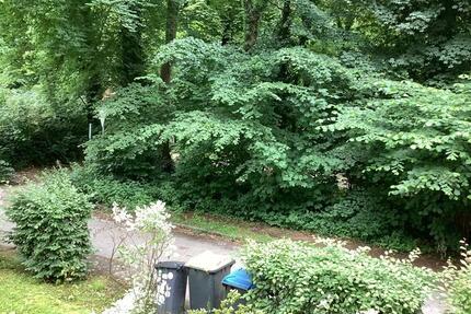 Willkommen Zuhause: Geräumige 2,5 Zimmerwohnung in attraktiver Lage - Gelsenkirchen Ückendorf