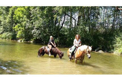 Ferienwohnungen auf BauernhofPonyhof im Allgäu - Wertach