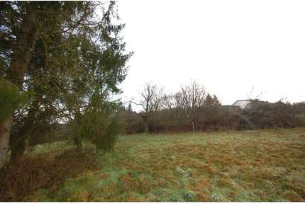 Grundstück zu verkaufen in Eberbach 150.000,00 € 1589 m²