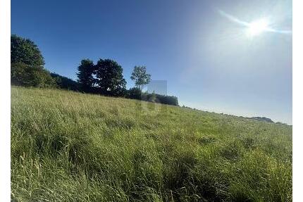 SONNIG, RUHIG & NATURNAH MIT AUSBLICK - Riepsdorf