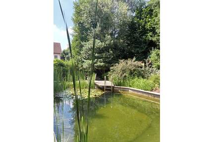Traumhaus mit Schwimmteich und viel Platz - Absberg Igelsbach