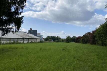 Grundstück zu verkaufen in Ebersdorf bei Coburg 129.000,00 € 3540 m²