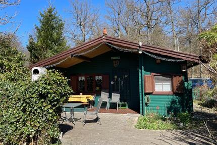 Ferienhaus MöhneseeArnsberger Wald - Wohlfühloase