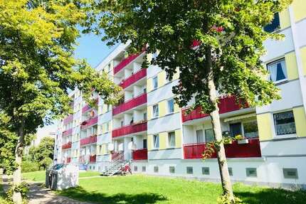 Wohnung zum Mieten in Schwerin 360,00 € 58.3 m²
