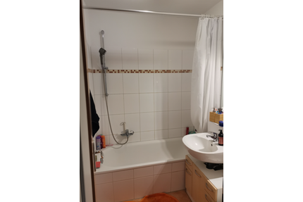 Wohnung zum Mieten in Lübeck 356,00 € 31.51 m²