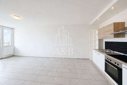 Wohnung zum Kaufen in Offenbach 169.000,00 € 50 m²