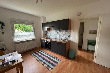 möblierte Wohnung in ruhiger Wohnlage mit guter Verkehrsanbindung - Wiesbaden Schierstein