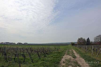 Haus zum Kaufen in Gimbsheim 379.000,00 € 109 m²