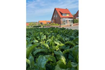 Einfamilienhaus in Holle Sillium