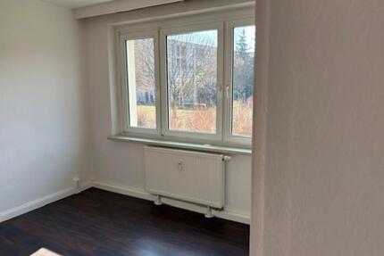 Helle 2-Raum-Whg mit 46 m² in gepflegtem Haus in ruhiger Lage - Leipzig Süd