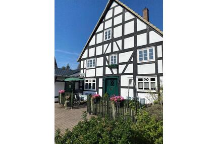 Ferienhaus Goldhase im Sauerland, bis 8 Pers. - Medebach