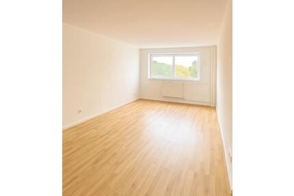 Moderne 2-Zimmer-Wohnung mit Balkon – Frisch Renoviert und Einzug - Offenbach am Main Buchrain