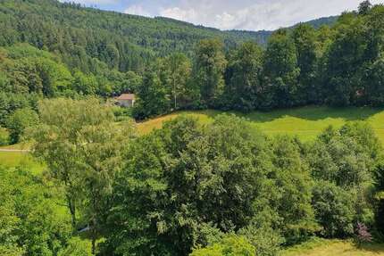 Wohnung zum Kaufen in Bad Herrenalb 185.000,00 € 100 m²