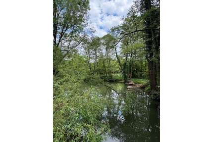 Wohnung zum Kaufen in Lauf a. d. Pegnitz 225.000,00 € 76 m²