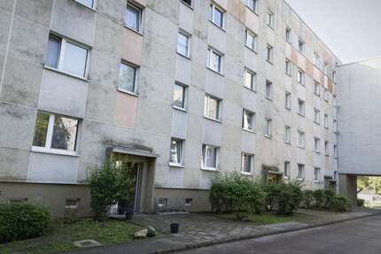 Wohnung zum Mieten in Frankfurt (Oder) 324,54 € 50.71 m²