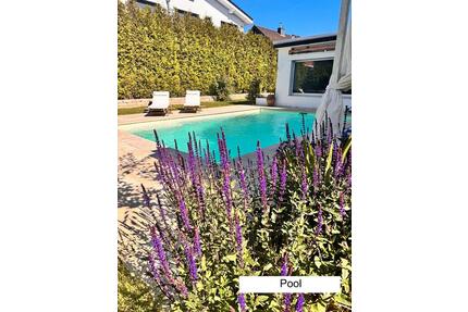 Komplett sanierter Bungalow mit Pool - Provisionsfrei - Weilerswist