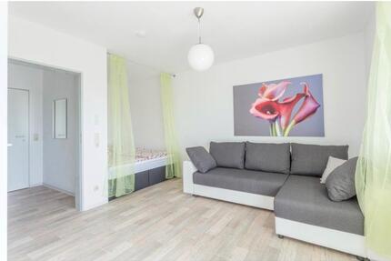 1-Zi.-Appartement möbliert auf Zeit- Warmmiete - Bamberg Bamberg-Ost