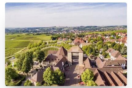 Wohnung für kurzfristige Vermietung Ferienwohnung - Klingenmünster