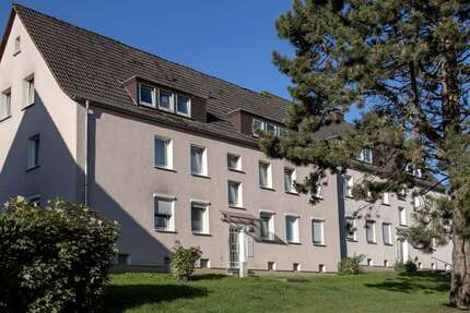 Wohnung zum Mieten in Herscheid 419,00 € 57.1 m²