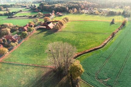 BauernhofPferdehofRefugium in der Natur Renditeobjekt - Petershagen