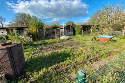 Gartenparzelle in Halle Innenstadt - Halle (Saale)