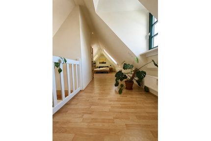 Wohnung zum Kaufen in Fürth 269.000,00 € 80 m²