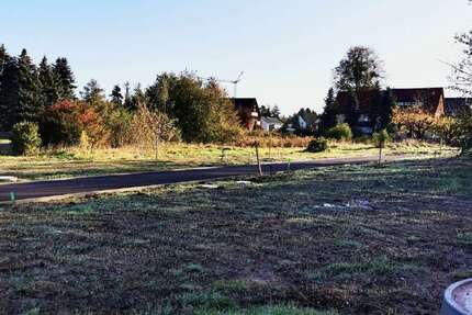 Grundstück zu verkaufen in Struppen 116.032,00 € 699 m²