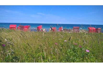Ferienwohnung in Schönhagen Ostsee Schleswig-Holstein mieten! - Dörphof