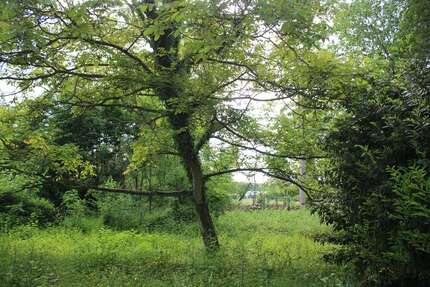 Grundstück zu verkaufen in Leichlingen 599.000,00 € 1580 m²