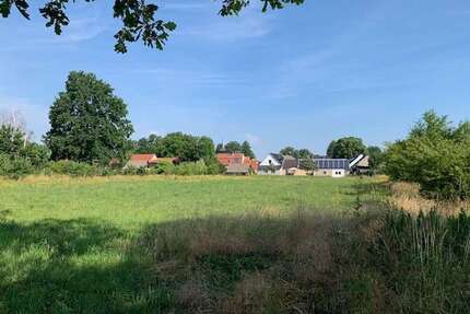 Haus zum Kaufen in Luckau 698.000,00 € 900 m²