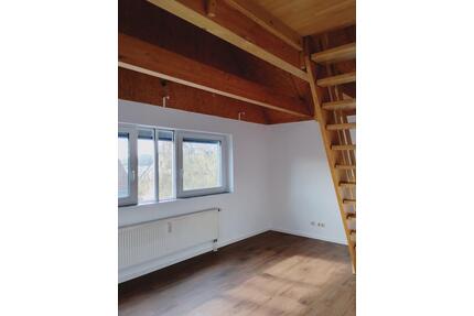 Individuelle lichtdurchflutete 4-Zi.-Terrassenwohnung in Landshut - Geisenhausen