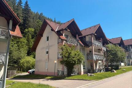 Vermietete 1,5-Zimmer Wohnung mit Balkon und Stellplatz - Hornberg