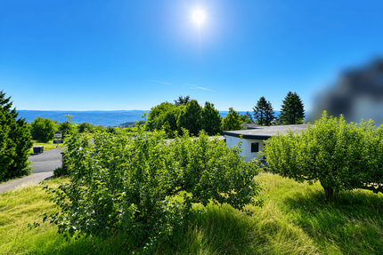 Haus zum Kaufen in Greifenstein 360.000,00 € 430 m²