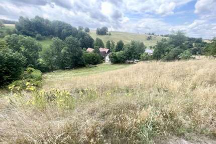 Grundstück zu verkaufen in Eineborn 35.920,00 € 449 m²