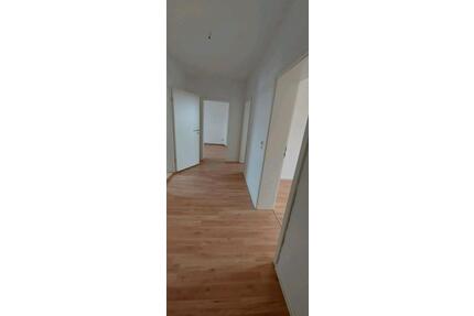 3raum Wohnung in bennewitz zu vermieten
