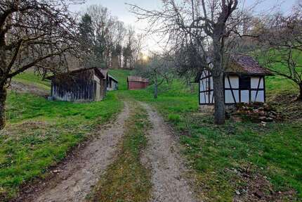 Grundstück zu verkaufen in Schorndorf 39.000,00 € 4746 m²