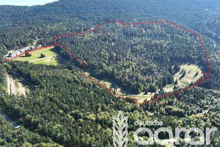 Grundstück in Sasbachwalden 799.000,00 € 415639 m²